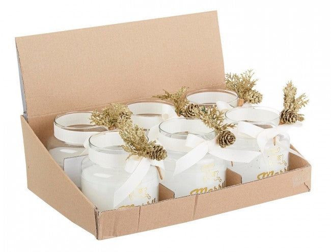 12x Candela Prof. Kim C-VT Pigna in Disp6