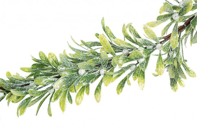 3x BOA TUX Visciohio White Becaks H180 cm