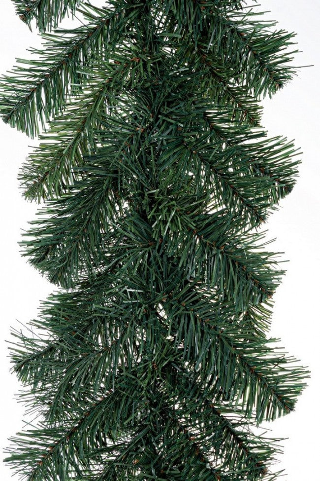 6x Boa Bellamonte H.