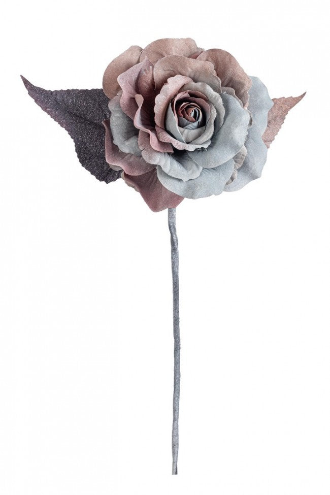 12x Pink Pink Blue/Braun Coline