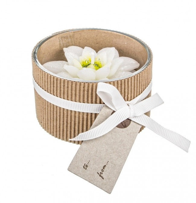 12x Candela White Christmas Star C.