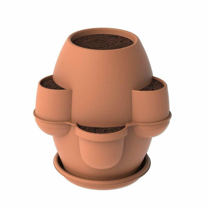 OASI COT Pflanzgefäß Die Abmessungen betragen Ø 80 x H. 80cm