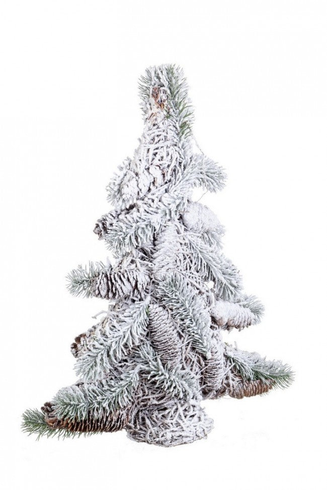 Schüchterner Pinot Byt x40