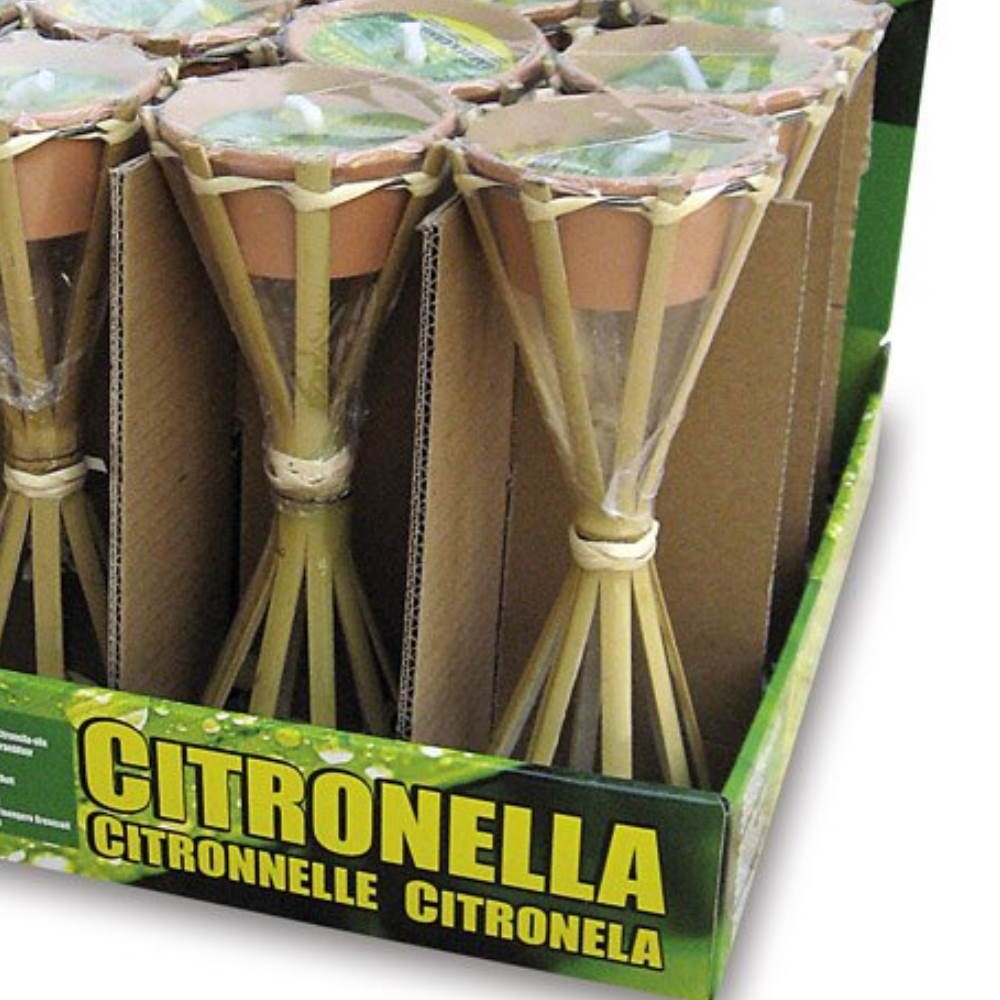 ESPOSIT IN EXPOSIT. PZ. 1