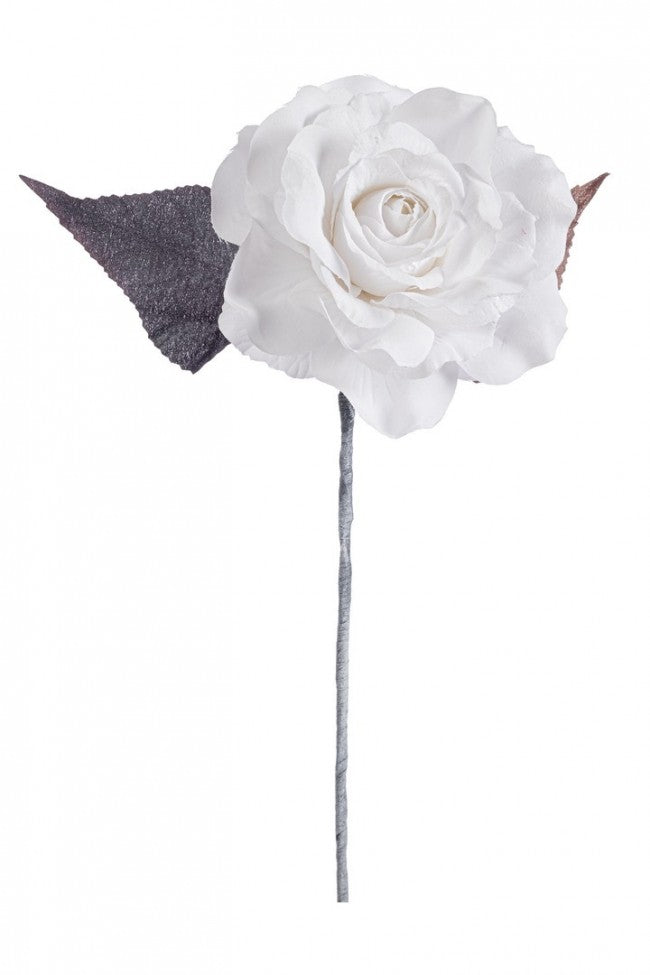 12x rosa colin weiß