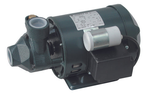 Periphere Elektropumpe der P-Serie von Lowara – 0,60 kW und 0,80 PS