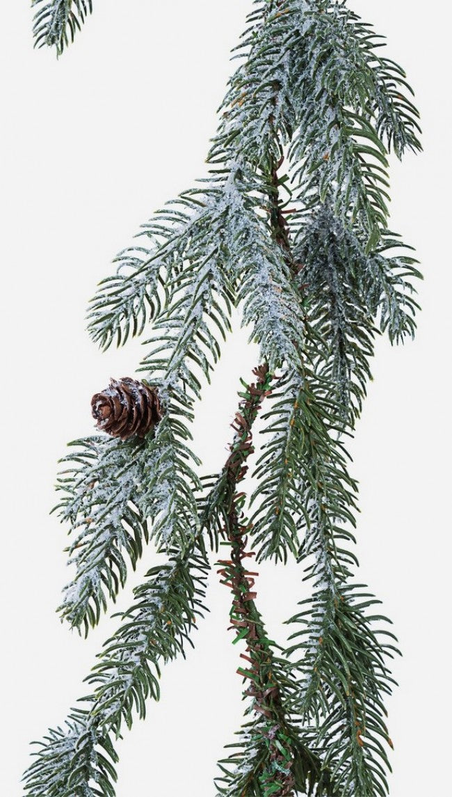 6x Boa Elbert Innevato H1