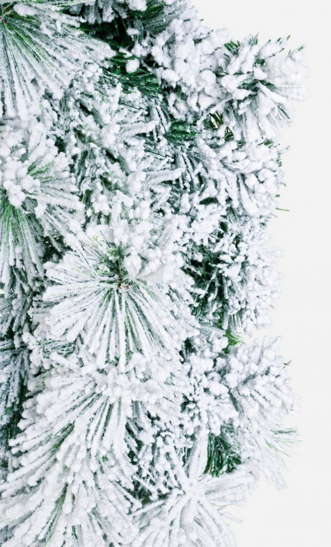 4x Corona Cermis geblaser Tanz D80