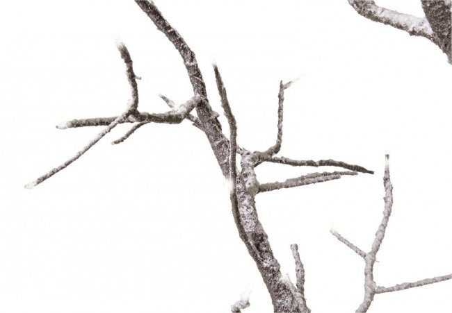 2x Holzfett H210 -Baum