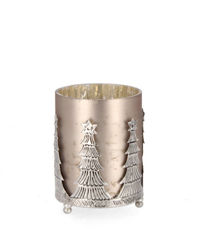 6x P. Candela VT Parky Champagner H14