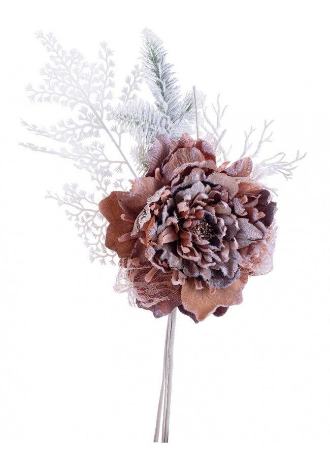 10x Pick Peony Ginny Brown Brown