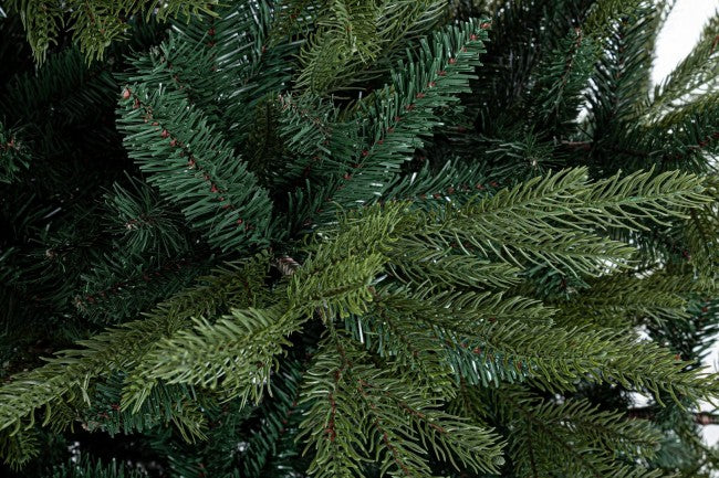 Bernina H270-5171Rami Tree