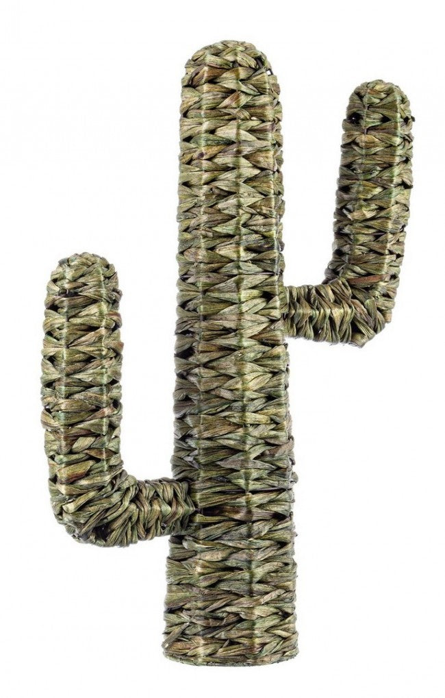 2x Grüner Saguaro-Kaktus H73
