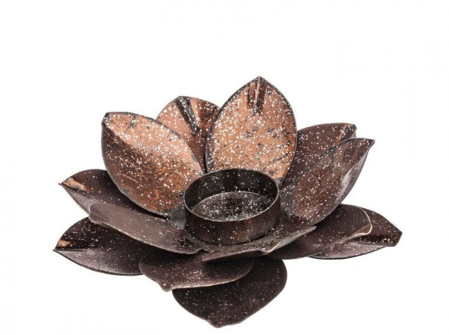 6xp.Candela Dustin Blume Braun s