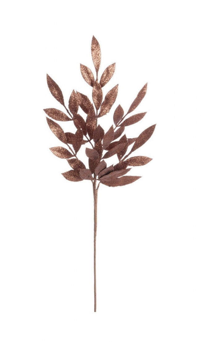 12x Ramo Nathan Marrone H70CM