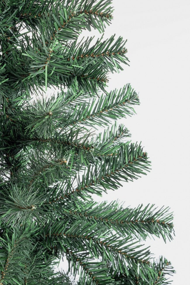 Baum Cerano H165-287Rami