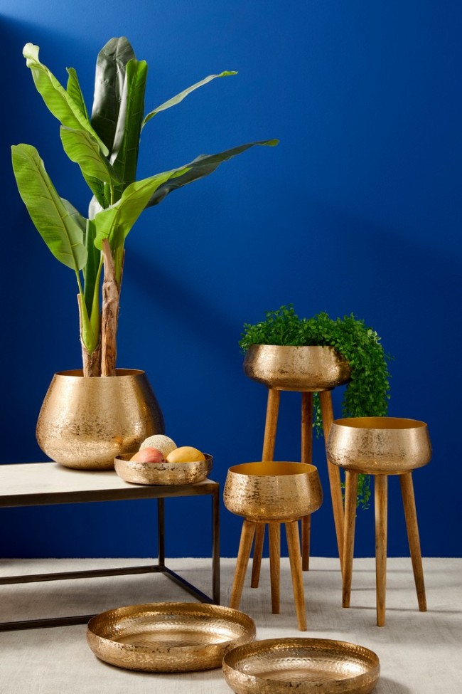 2x Pianta Banano C-Vaso 14Blätter H135