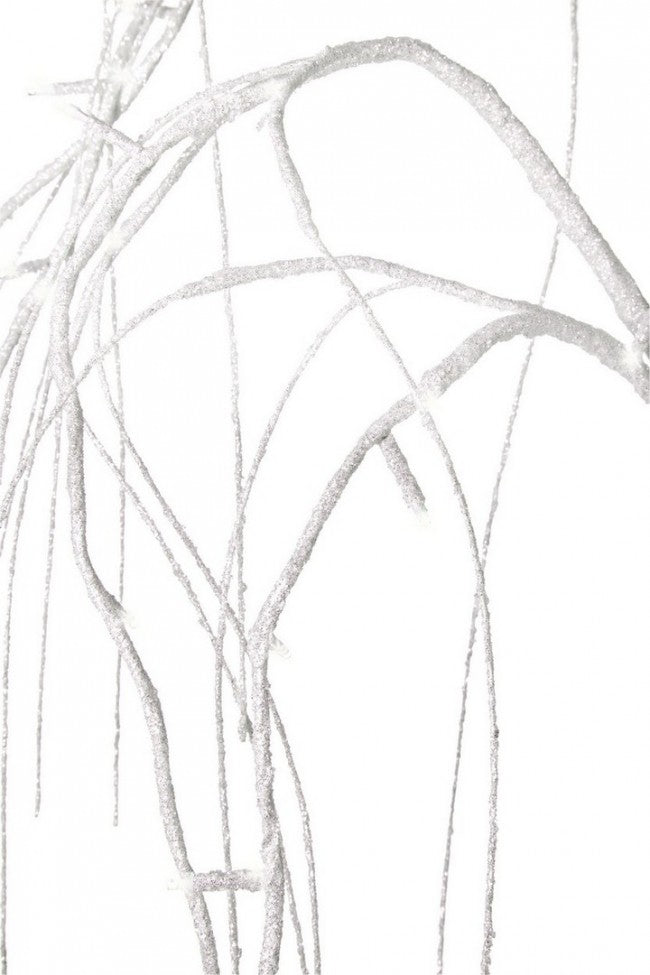 2x Salice Tree Bia Irid H120
