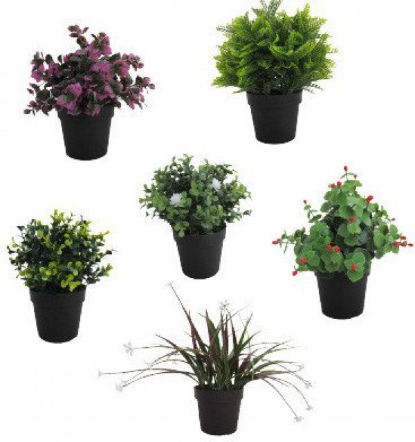 Halbgrüne, halbgrüne Pflanzen mit Blätter