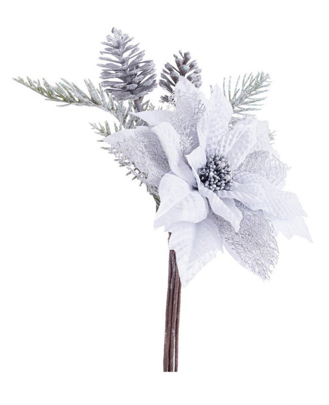 12x pick pozia clare silber c