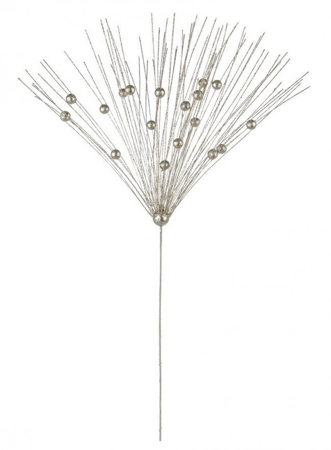 12x Pick Gleam Champagner C.