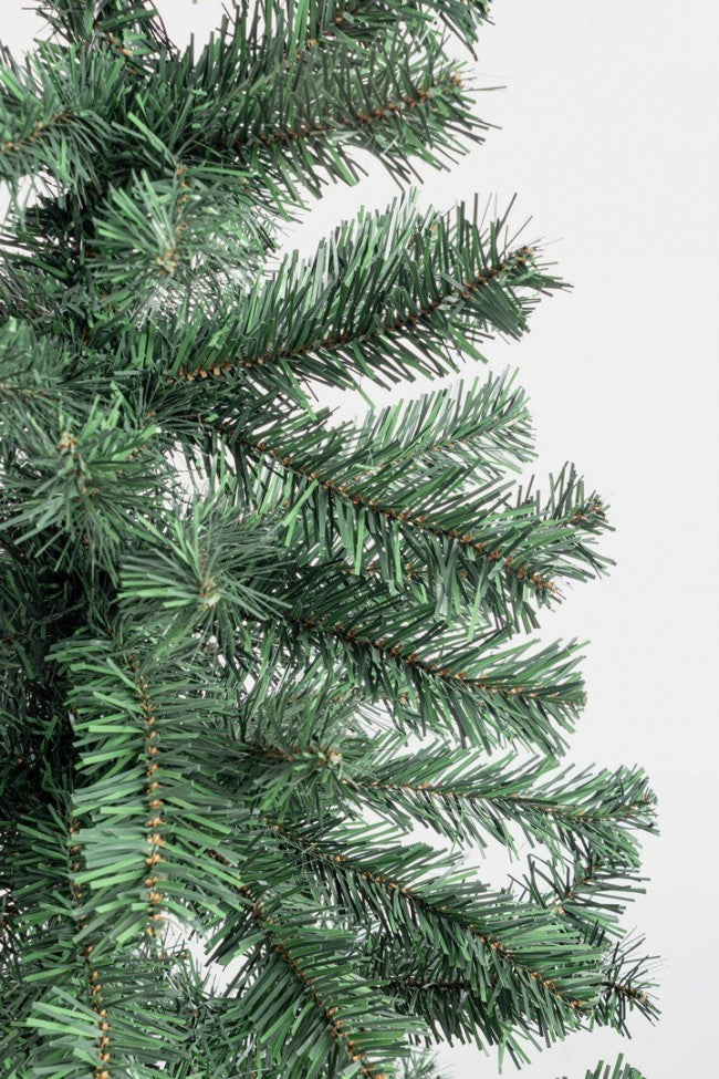 2x Baum Cerano H130-173RAMS