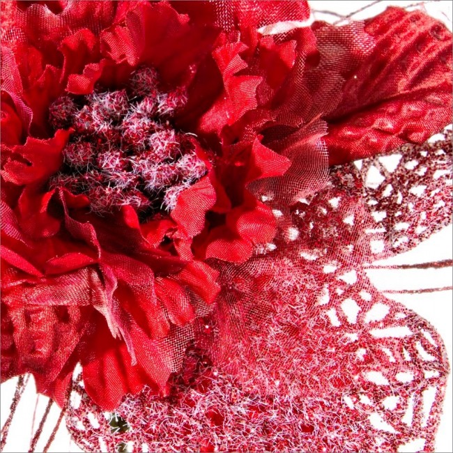 12x Pick Poinistia Rosso