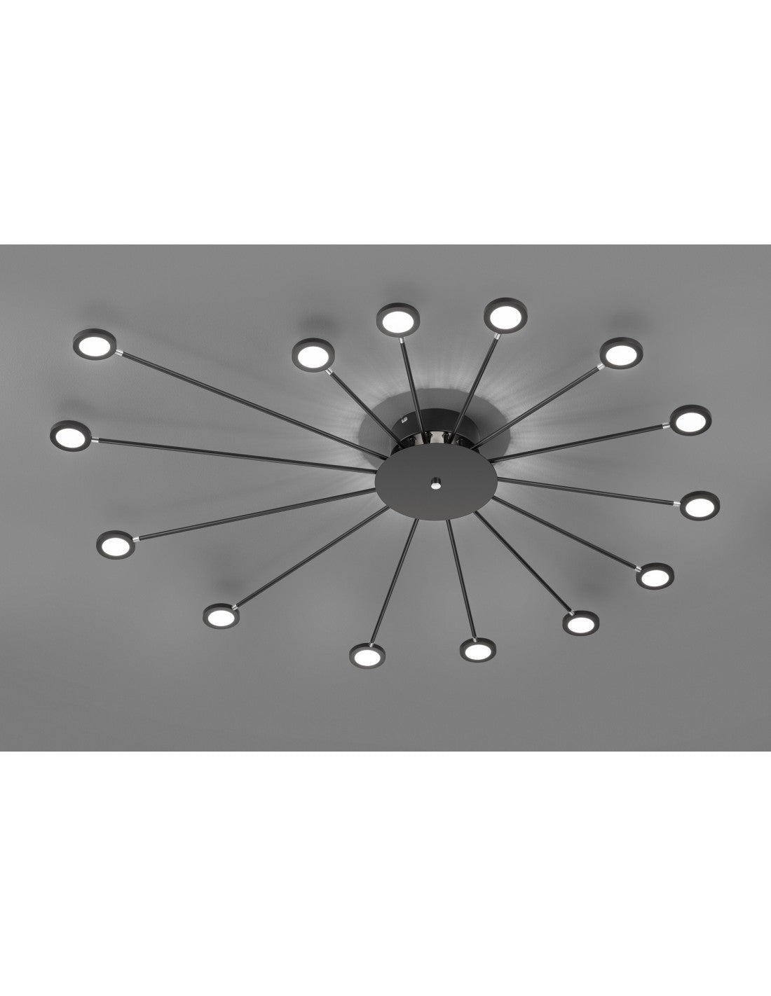 Plafoniera Pavone Luce Indirektes und 14 Punkte Led Orientable Peacock Black Trio Lighting