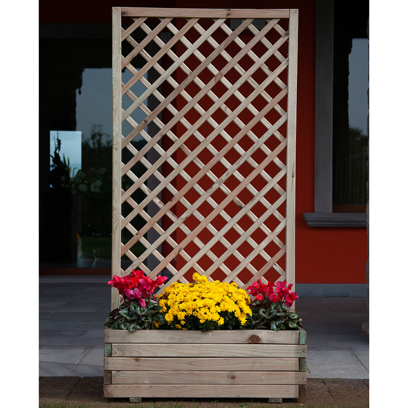 Orchideenkomposition mit Gitter und Pflanzgefäß