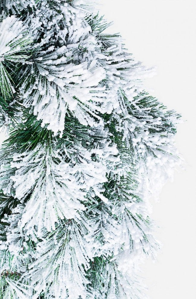 6x Corona Cermis blasen D60