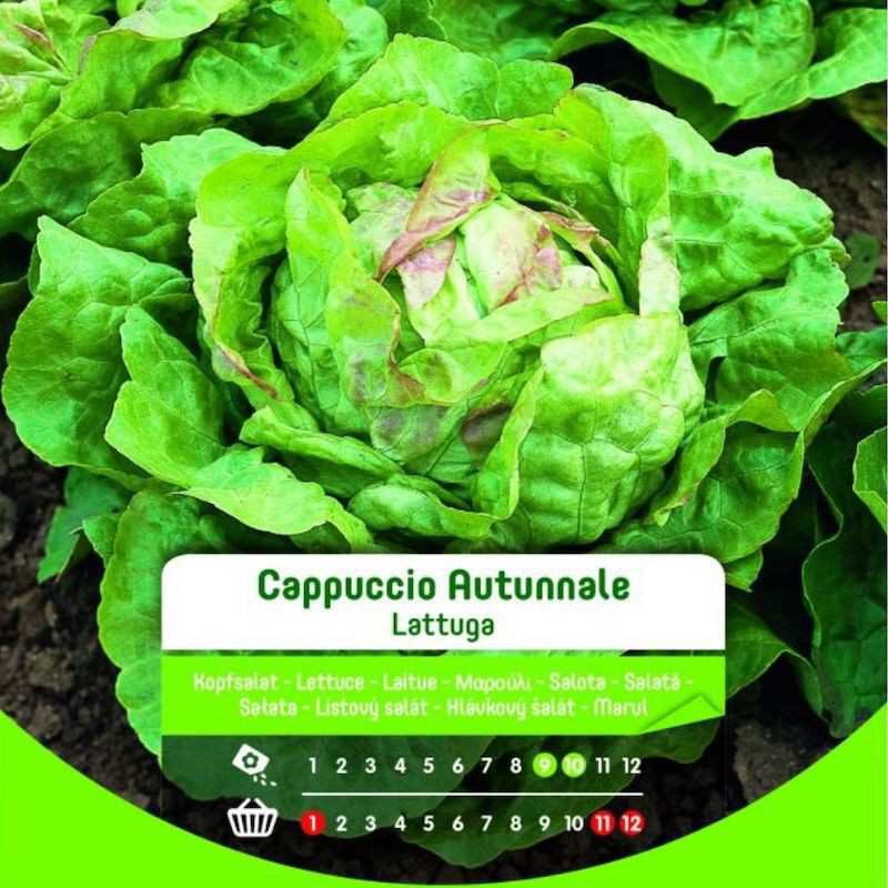 Herbstliche Salatsamen im Beutel