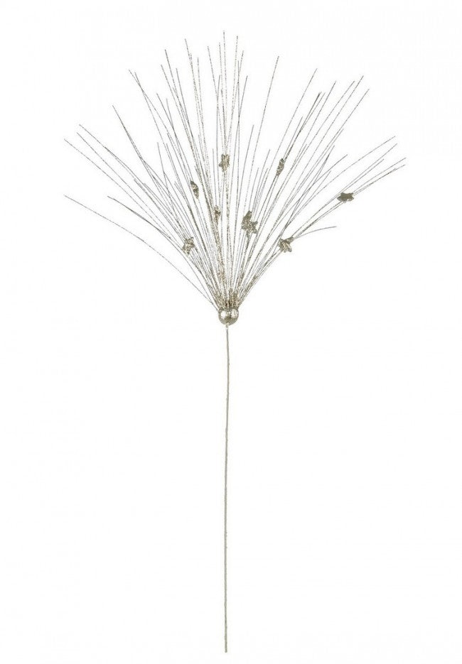 12x Pick Gleam Champagner C.