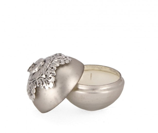 4x Ca-VT-Champion C-Box D100 Faszinierte Candela