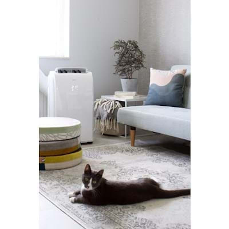 Tragbarer Klima-Luftentfeuchter P522