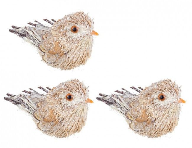 4x Set3 Clip Woody Bird