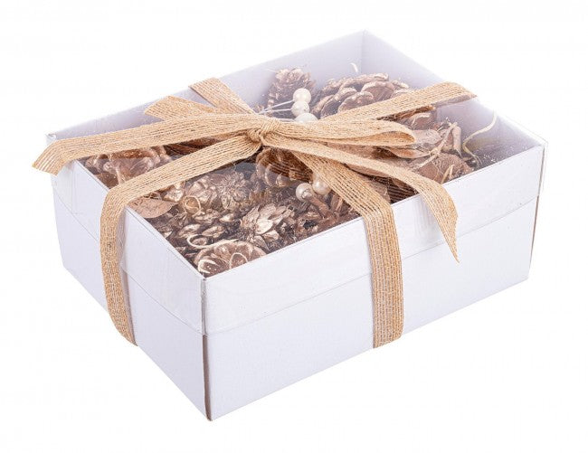 6x Conf Dekorationen Diana Champagner Arsch