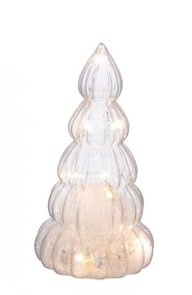 6x Pino VT Sliver Transparent S C.