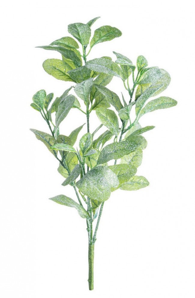 12x Mazzetto Josy ICED Viscio H46CM