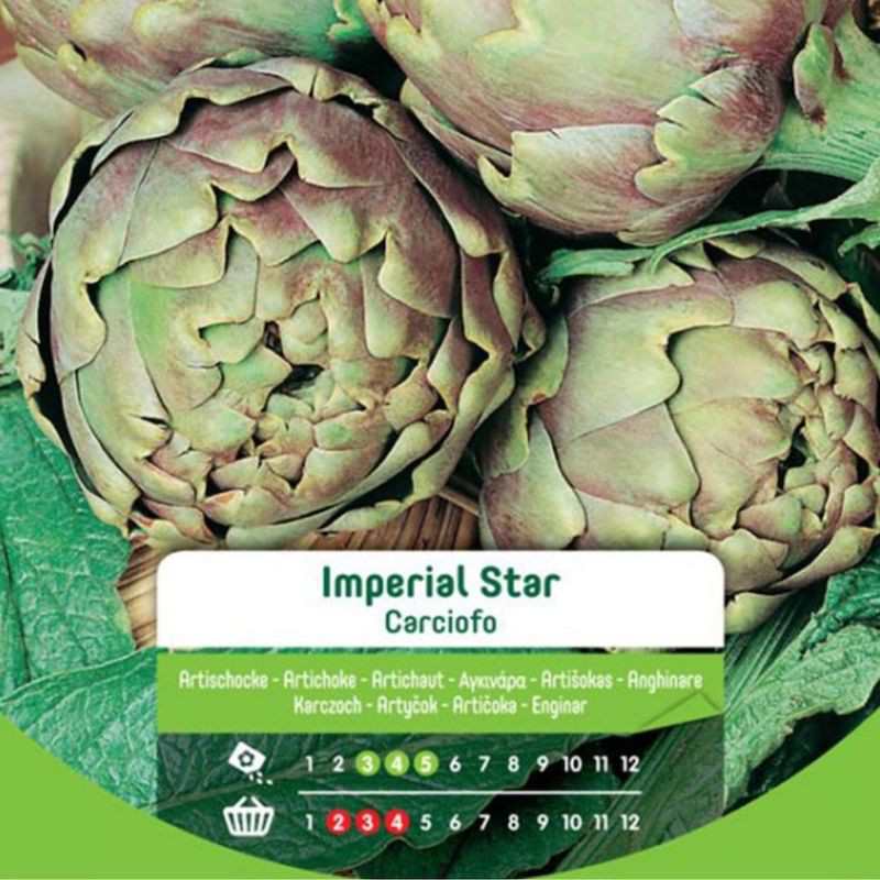 Samen von Carciofo Imperial Star in Busta