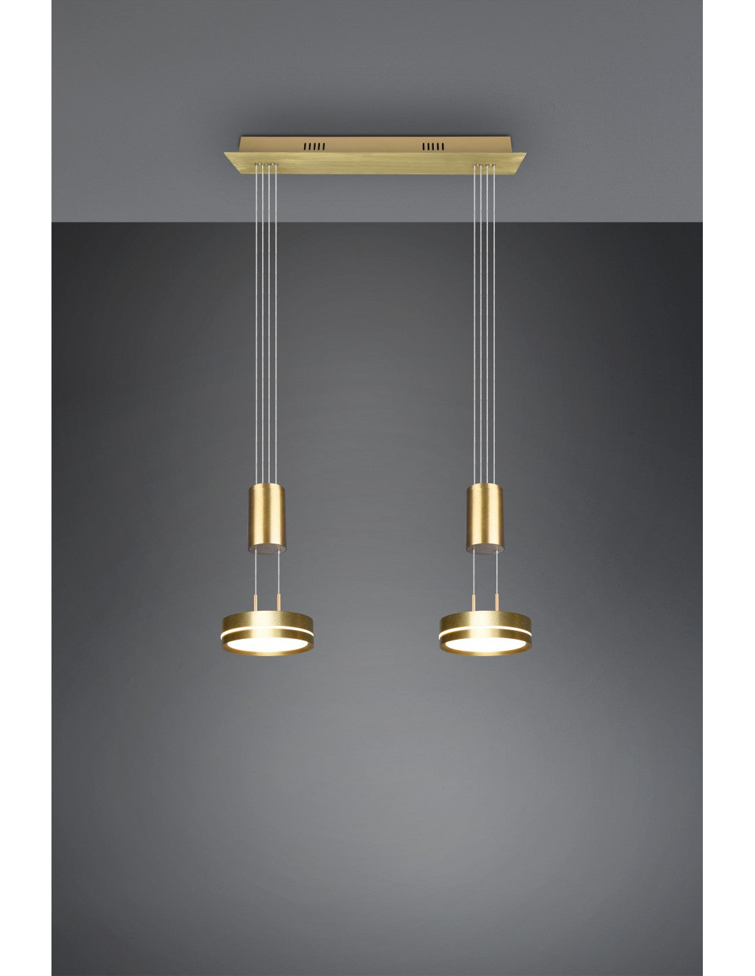 Hängediffusoren Disco Led Dimmer Franklin Brass Trio Lighting