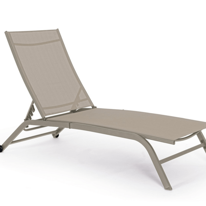 Raul-Tortora-Rad-Lesevorgänge