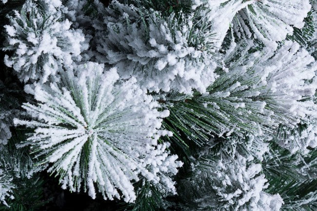 Hamburger Baumauslöser H210-1420rami