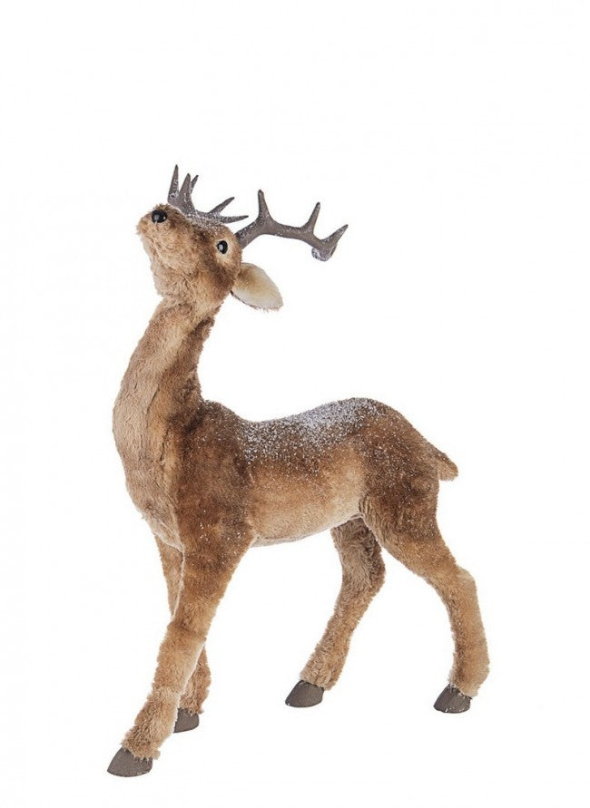 1x Renna Walt Stand s