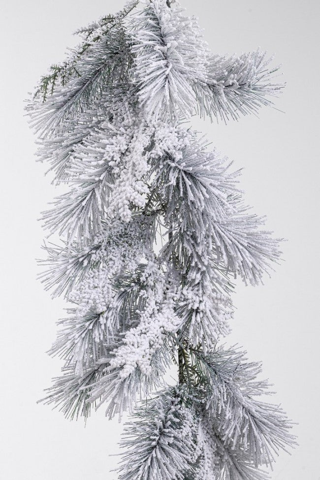 2x Boa Blo Salisburgo H270