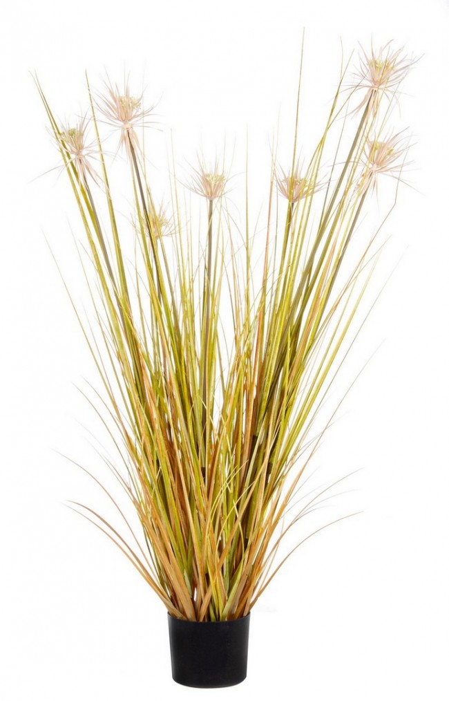 4x Pianta Desert Paglia C-Glass X7F H120