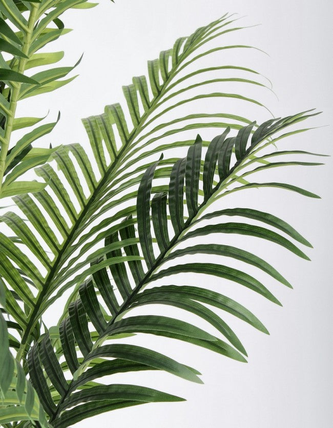 2x Kenzia Plant C-Pot 17 Blätter H160