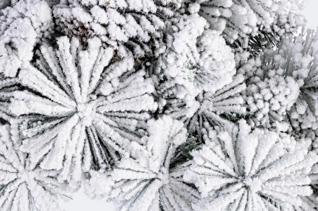 4x Craona Arves Snowy D80