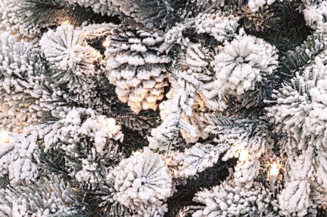 H240-2513RAMI 450L H240-2513 Baum