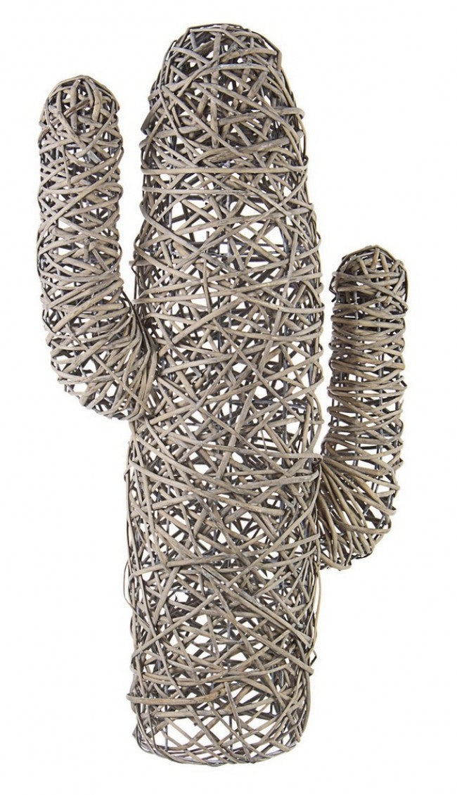 4x Cactus Mexico Grauer Anikat H88