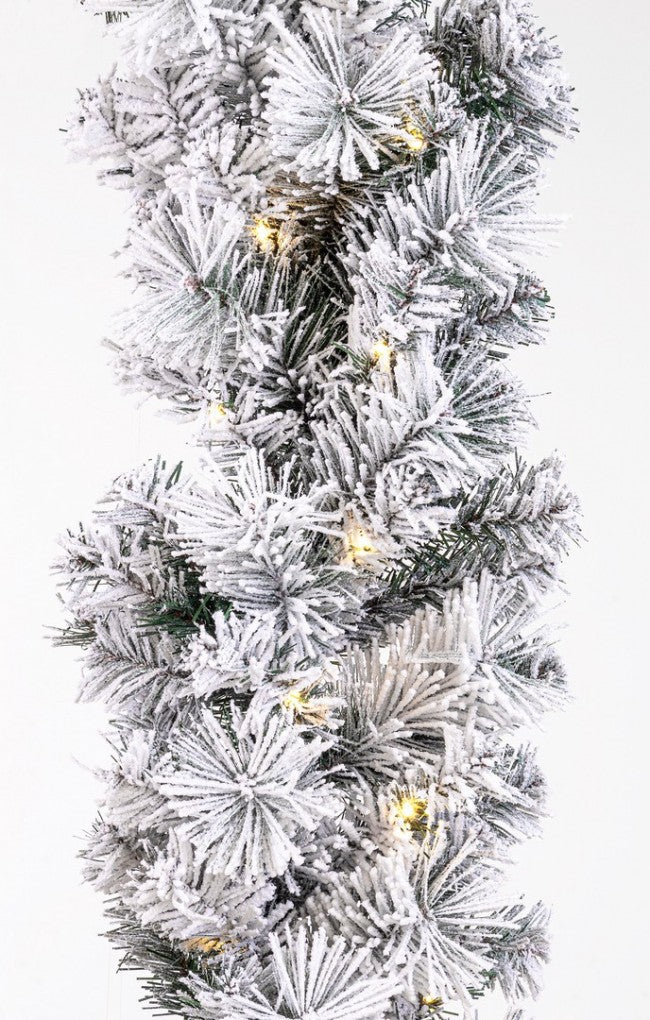 2x Boa Thurn Snowy H270 C.